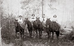 This is my grandmother, Maudie Wineinger, far right, on an outing with her friends, from left, Essie Rowen, Anna Rowen and Essie Canady. We think the time was around 1910 and the location was near Paragould, Arkansas. No names for the horses, unfortunately. View full size.
What proper young ladies!I can't imagine what it must be like to ride sidesaddle over rough terrain.
Lovely group of young ladies!This is a wonderful picture of the young lady who became your grandmother, and her friends, enjoying themselves! They do look a bit precarious, though.  They look elegant in the side saddles, but if any of those horses decided to be ornery (like several of the horses I've ridden), I'm afraid they would have had a hard time staying on! 
On the sideThat sidesaddle business must have been tough! I thought about that as I was posting this.  And I think this may have a high school class outing since I have another photo of the same ladies in the same dresses (but no horses) with some boys. Perhaps it was their "senior trip"!
AsideThey're are not really riding sidesaddle - there are no saddles!  They're sitting sideways on blankets.  The bridles on the 3 horses from left are intended for driving (note the blinkers, or blinders), not riding, so I'm guessing these are harness horses, unhitched.  The women are not wearing riding skirts, either, so they probably just jumped on for the photo.
(ShorpyBlog, Member Gallery)