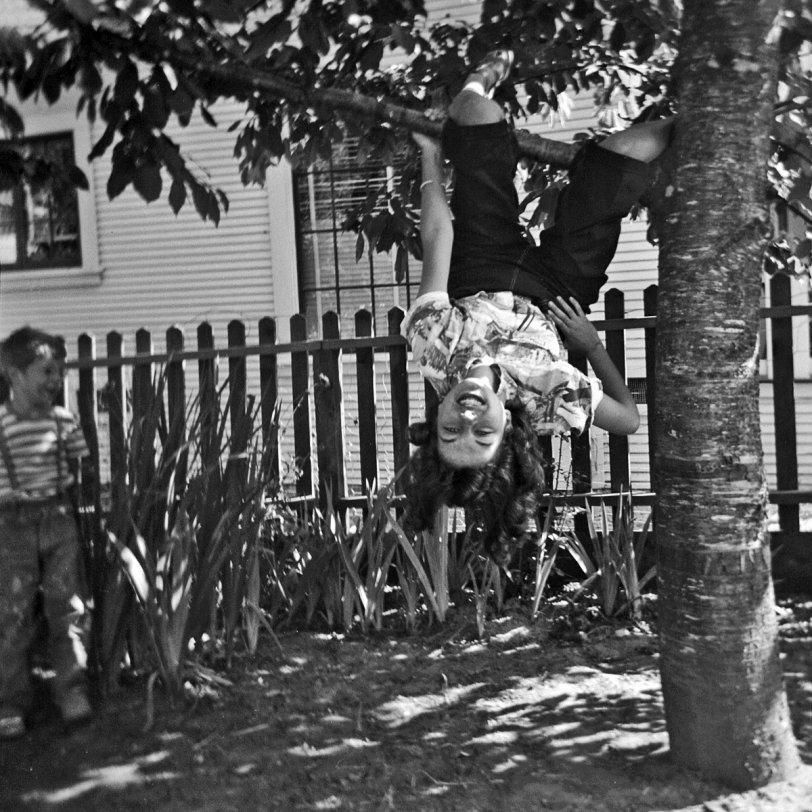 East Guernewood, California 1952. My sister hanging from a limb of the big cherry tree in the front yard of our summer place. Over on the left, I'm obviously getting ideas, which I still had two years later when she took this picture.
