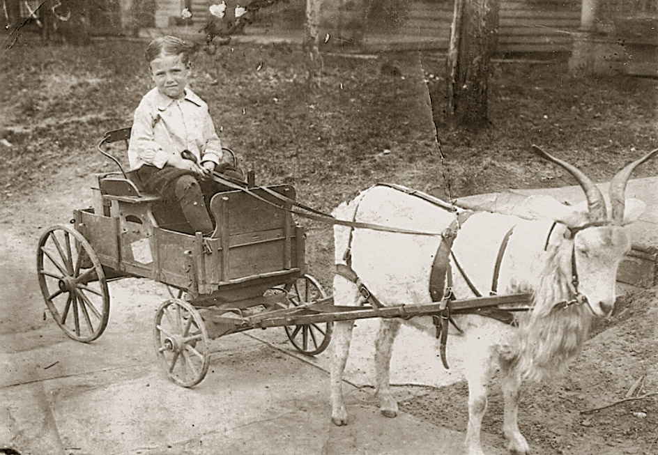 My grandfather Harold Ray Penland in 1915. I don't know much about this picture. It is my father Cy's dad when he was a child. I think it was taken in Inola, Oklahoma. He must have had a pretty good childhood. Having his own little wagon and goat to pull him around.