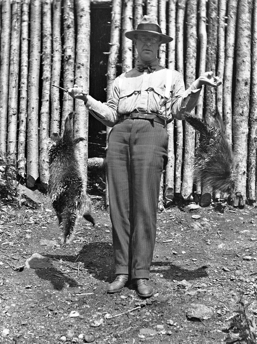 C'mon everybody, fresh porcupine for dinner. Tastes like chicken. From my collection. View full size.