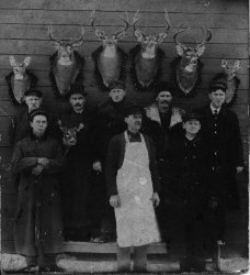 Eight men and seven deer about 1895 in Hanover, Michigan.

Back Row Left to Right
1.Wells W. Dew (b.1848, d.1933)
2.Bill Preston
3.Barney Ramsdell 
4.George Buell
5.A.B.Sanderson (Albert Edwin Thompson Sanderson, b.1867, d.1921)

Front Row Left to Right
1.Ralph Sanderson (b.1874, d.1957)
2.Will H. Sanderson, Jr. (b.1852, d.1933)
3.Doc. Hathaway (medical doctor in Hanover, Michigan)

Ralph and A.B Sanderson are cousins.  Will Sanderson is the father of Ralph and uncle to A.B. Sanderson.
Ralph Sanderson is the youngest in the photo. I estimate he is about 20 years old, so the photo was taken about 1894/1895.  There are 8 men in the photo and 7 deer.  All the men lived in Hanover, Michigan.  It could have been taken in Hanover or a northern Michigan deer camp.

I wonder if Will Sanderson was the butcher?  Look at the cigar in the hand of Barney Ramsdell.  The men all appear to have long hunting coats.  Four of the men appear to have white shirts and ties.

A.B. Sanderson is my Great Grandfather on my father's side of the family.  Sandersons and Levys still live in the Hanover area.  William H. Sanderson, Sr.  and his wife Electa Bentley purchased a farm in the town of Somerset  in 1844, which they improved and made for themselves a home. In 1865,  they moved to Hanover and remained there for the rest of their lives. William H. and Electa Sanderson were parents to Will H. Sanderson Jr.