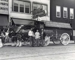 My father with the Budweiser Clydesdales. Taken at 59th and Halsted in Chicago sometime in the early 1940s.