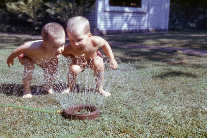 My brothers, circa 1960, from the family 35mm slide collection. I do not know the location, it does not look like any lot we lived on. My guess is it was a neighbor's house in South Bend, Indiana, where we have visited them before. | View full size.