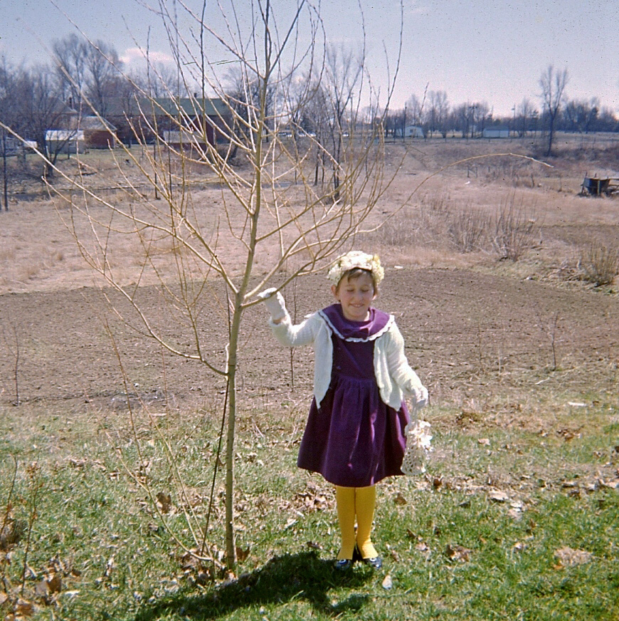 I still remember this day. I was 5. I vividly recall standing beside the apple tree to have my photo taken in my fancy Easter outfit. The hat had little fuzzy bees on it. Très belle! Très chic!

I also vividly remember choking on the (pink) cream soda I drank later on. It erupted out my nose and all over my velvet dress and yellow tights. To this day, the mere thought of taking a sip of cream soda nauseates me. View full size.