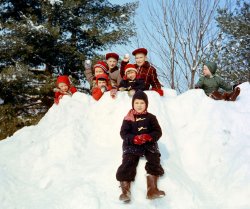 The winter of 2013-14 may seem brutal, but as a kid in Bedford, Quebec (just a few miles north of Vermont), in the late 1950s, I loved winter. We played outside all day, summer and winter (no electronic distractions!), and this shot shows a bunch of us on a twelve-foot pushed-up snow pile on the laneway of a neighbour. Many snowball fights and slides ensued. This is circa 1957 and I'm the little guy in the front with the slippery plastic boots, great for traction (not!). View full size.
Scut? Grover?What are you two hoodlums doing in Quebec?
Kodachrome!They give is those nice bright colors. Hope to see more 50's Canadian Kodachrome shots, Islander.
[More in the Member Gallery. -tterrace]
Snowball TargetsI can see two caps that would have been great targets for snowballs.
Back in the &quot;Hood!&quot;Boy does this shot take me back! I was raised in Ottawa (Ontario not Kansas) at just about this same time. (I was 10 in 1957.) We were told to "go outside and play" any day we weren't in school! Digging snow forts out of snow banks, snowball fights, sliding on toboggans and sleds, skating at the elementary school rink, we always had activities to keep us occupied and lots of kids to do it with. I live in northern Vermont now and still love to play in the ice and snow, skating and skiing as often as possible. Thanks for the great memories! 
Dynamic RangeI am so impressed with the dynamic range of Kodachrome, and the photographer who took the photo.  It is rare to see snow exposed so that it is white with noticeable details, and yet still have the other subjects well lit and colorful.  I have a professional $6000 full frame SLR camera and lens set that I would have to use either a double exposure/ Photoshop or HDR techniques to get this dynamic range.  The quality of the photos is a pleasure as well as the story the faces tell.
The snow kidsWho are the others--family, friends?  I don't mean names but do you still know any of these children?  Cool image.
Mountains of Fun!Love this image, you all look right out of a scene from "Christmas Story"...
Beautiful colorThose slides are a treasure! Were those the rubber boots that you had to put on over your shoes?  Those were a MAJOR pain in the neck, for both kids and moms!  Putting them on was a production and so was taking them off.  Your feet usually came out of your shoes and then you had to struggle to pull the shoes out of the boots. It was worth it, if you stayed out for hours, but many kids would get cold and go back in after 15 minutes. I didn't realize what a drag that was for moms until my own kids started doing it!
I wish my family would have done slides, rather than color prints.  The prints are in such bad shape now, that it looks like we were kids several hundred years ago, rather than 40-50 years ago!
Bedford!if you have any photos of Bedford, QC you would like to share, check out this Facebook page.
(ShorpyBlog, Member Gallery)