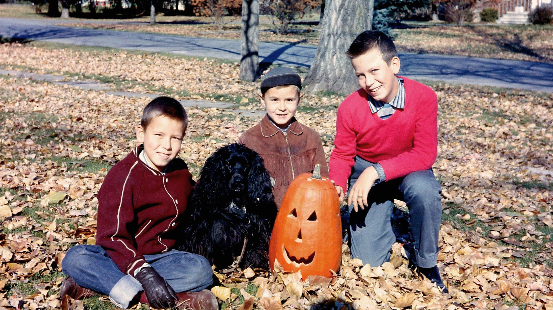 This is me and my brothers with our cocker spaniel Cyndy, October 1958, Bedford, Quebec. Dad liked a  perfectly staged shot, and I'm glad he did. View full size.