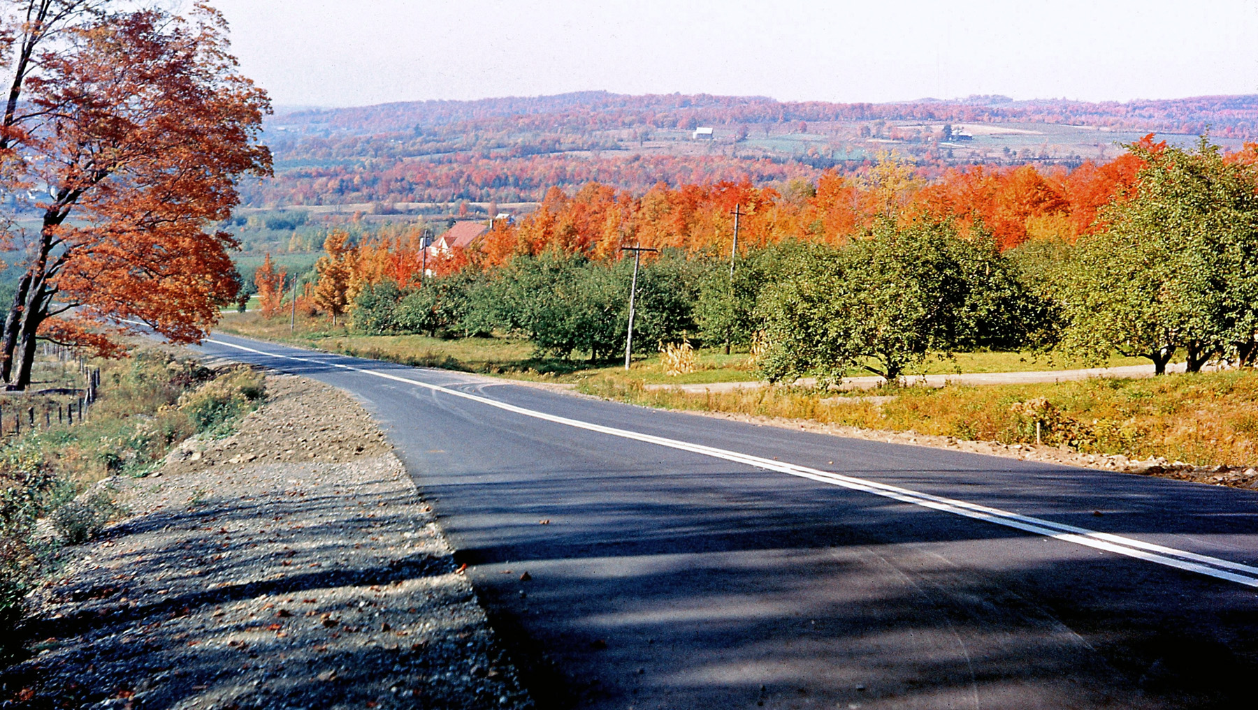 Dad loved to take us all on Sunday afternoon car trips through the Quebec Eastern Township countryside in the late 1950s. This is one of his autumn shots, with us waiting patiently in the car. Now my patient wife waits for me when I take shots. View full size.