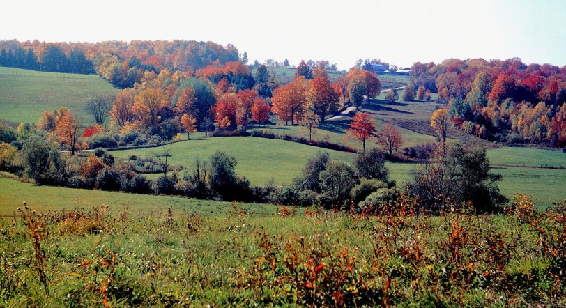 Dad snapped a timeless shot of rural Eastern Townships Quebec, late 1950s, on one of our autumn fall colour pilgrimages. We may have protested the car rides on Sundays as kids, but I appreciate the record he captured now. View full size.
