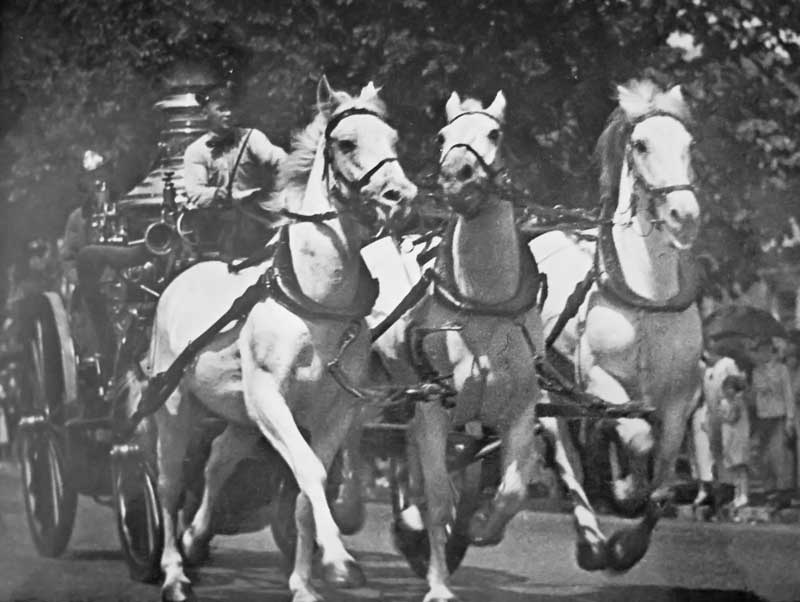 A picture of the "The Last Run" of the DCFD Fire Horses Barney, Gene, and Tom. The Driver is Jim Gatley. The Run was held on June 15, 1925. They responded from Engine Company No 8 along North Carolina Avenue S.E. Tom was the last D.C. fire horse to die and we are actively looking for the gravestone that was erected at Blue Plains. View full size.
