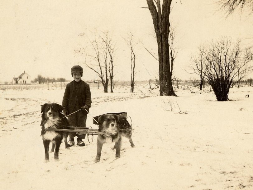Here's my Grandpa Hermonson and his two dogs, Bob and Fido. The picture was taken on the Hermonson Farm in Poplar Grove, Illinois circa 1909.
