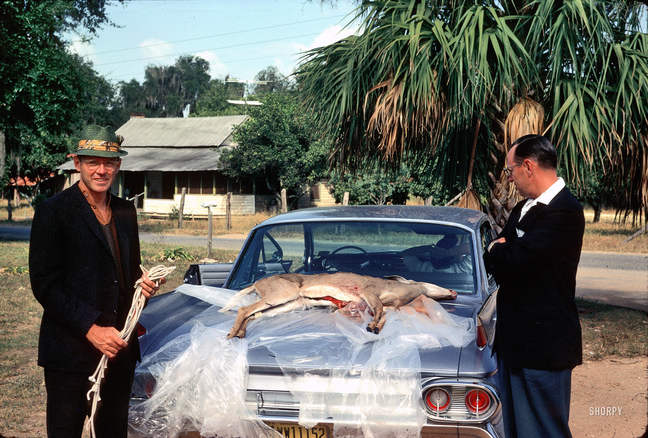 Somewhere in South Florida. "Marvin, Goble & deer. December 1961." My dad on the left and Mom in the car. 35mm Kodachrome by Aunt Marty. I found this slide just last week in a Kodak Carousel box labeled "Hunting." View full size.
