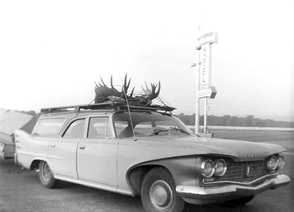 Found another stack of vacation pics being thrown out. This is on Prince Edward Island at the Dutch Motel (according to the writing on the back). Not sure if this was a local hunter's trophy, or our vacationers were trying to bring these back as a prize to bring back home. View full size.