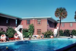 Another Kodachrome slide from the Shorpy shoebox, labeled "Florida 1960." View full size. Could there be a postcard on eBay showing the same motel?