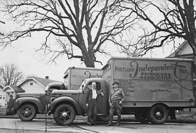 Portland Independent Milk Producers Association trucks, probably late 1940s or early 1950s. View full size.
