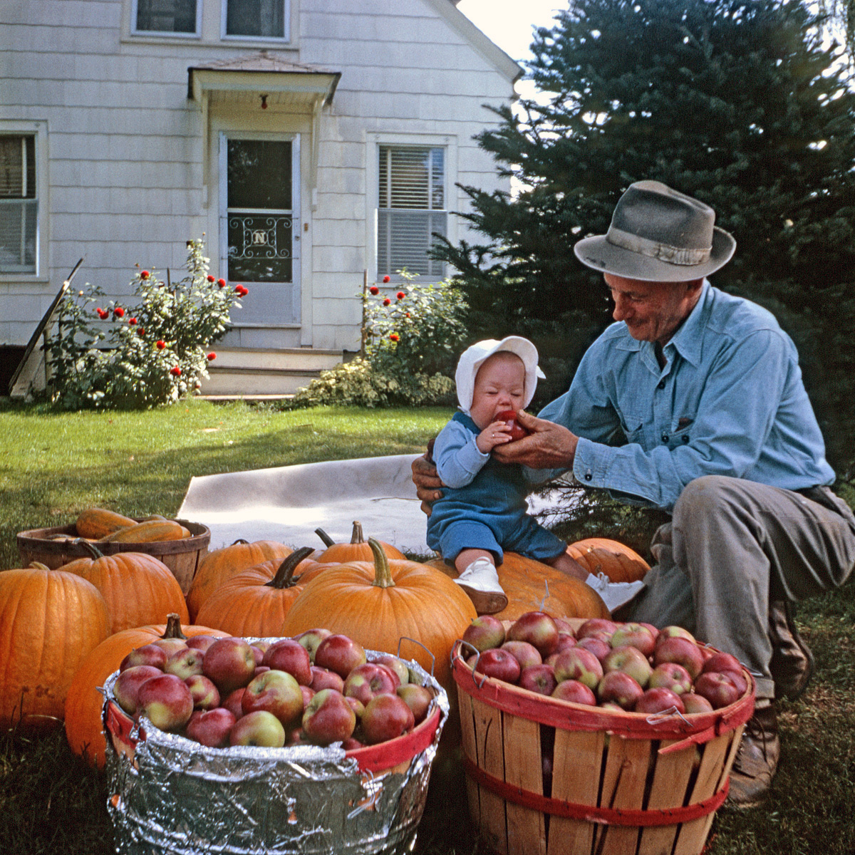 A friend is having me scan some of her family photos, and I fell in love with this Kodachrome slide; she gave me permission to post it to Shorpy. It's her sister and their great-grandfather on his farm in Sabattus, Maine, in 1964. View full size.