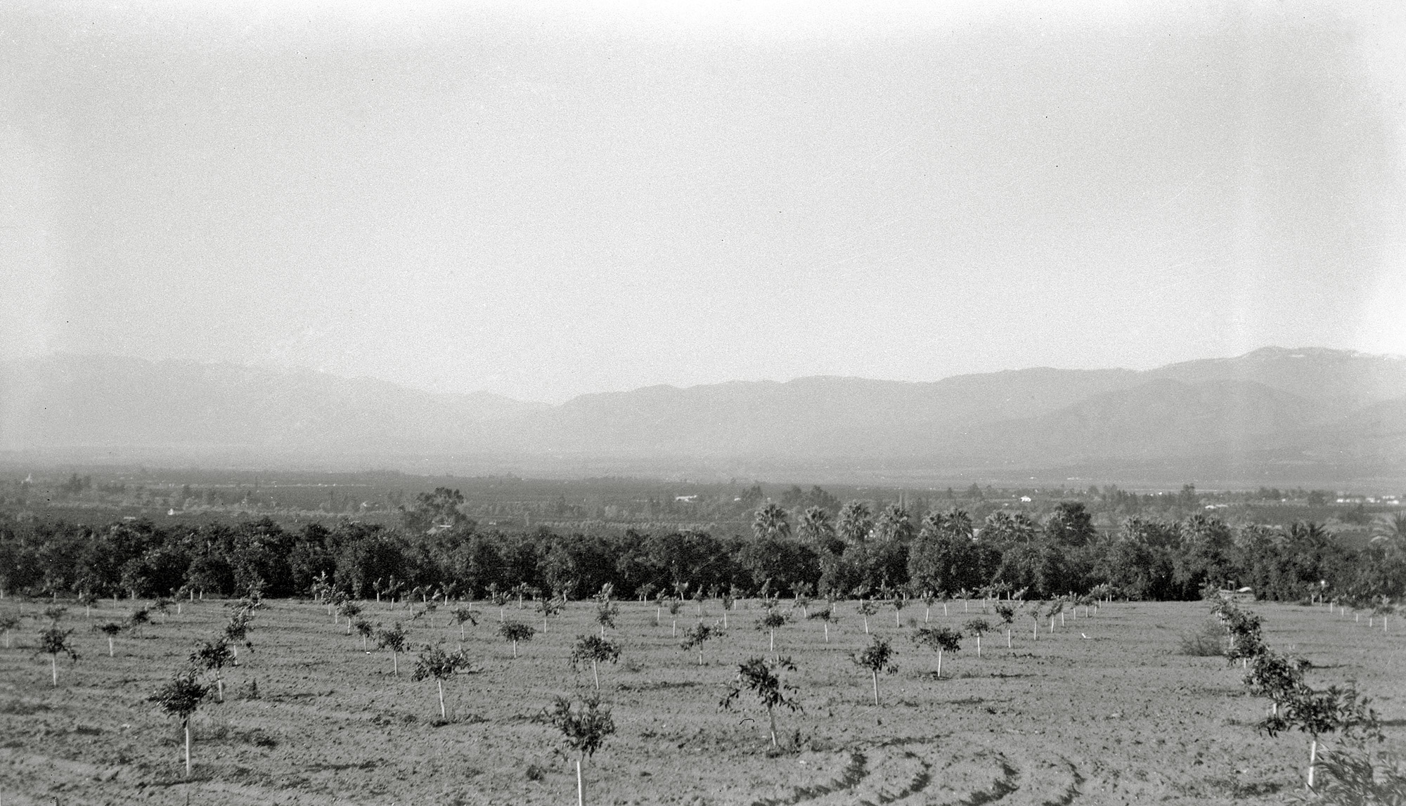 Redlands, California, December 1927. "View overlooking valley at Redlands from point at which road enters hills to Yucaipa." View full size.