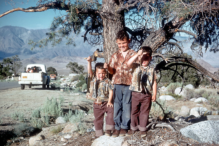 "Rinker boys. June 1960." This looks to be in California. View full size.