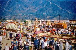 From a large batch of found slides comes this Kodachrome slide of Rose Parade floats in a park. The slide mount has a date stamp of Sept. 61. View full size.
(ShorpyBlog, Member Gallery)