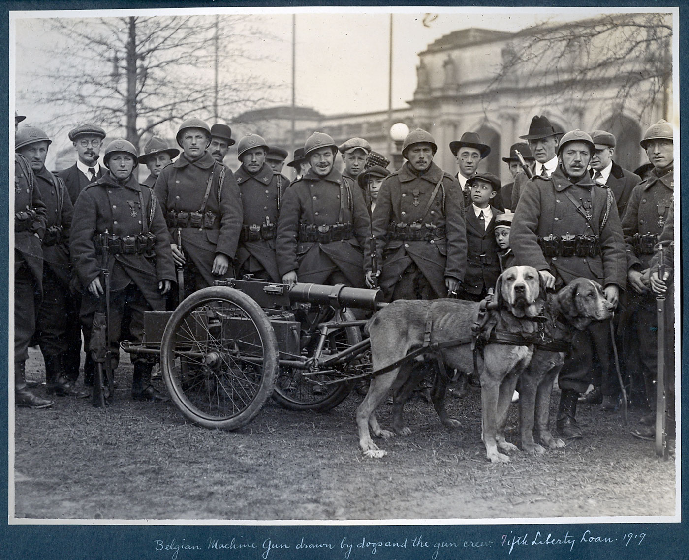 I believe this was for publicity purposes during the Fifth Liberty Loan drive of 1919 taken in Washington D.C. The Belgians used dogs frequently in WWI to pull their machine gun units. View full size.