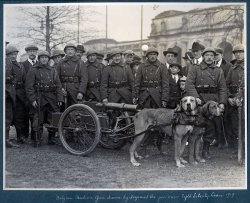 Belgian Gun Crew: 1919