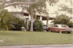 As is noticeable by the cars in the driveway, my Grandfather worked for Orlando Dodge. View full size.
(ShorpyBlog, Member Gallery)