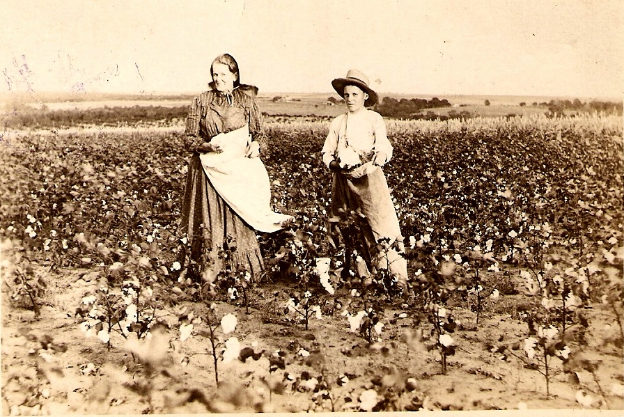 Grandma Moore and Jay Smiley picking cotton in OK around 1895. I don't know if this was their farm or if they picked cotton on a regular basis. But they seem to enjoy it. View full size.