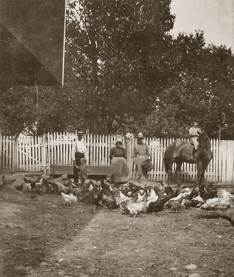 This picture is probably from the early  1900's depicting my grandmother or great grandmother and her family working on the farm. View full size.
