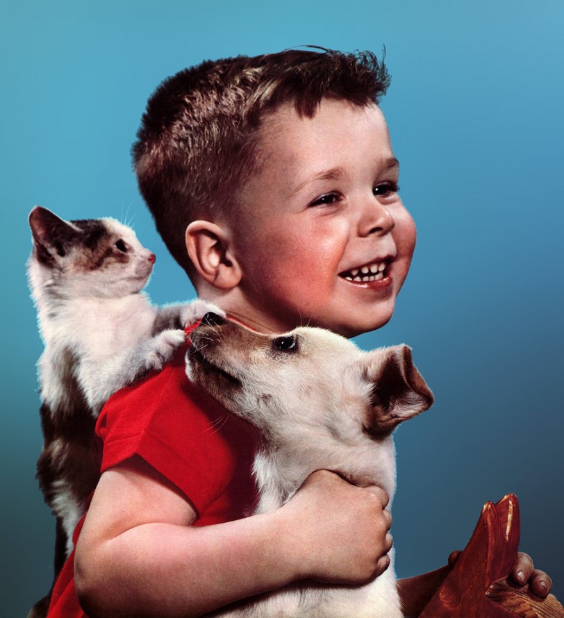 Publicity photograph for Continental Can Company, 1958. "Whatever food you process for our pet population, remember: Continental has the right package for you!" Unless of course it's that Commie wheat gluten. View full size.

