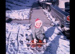 Another shot from Great-Grandfather's slides. I remember the year I got a sled for Christmas and the photoshoot in the front yard that followed. I wonder if this is the case here? View full size.
(ShorpyBlog, Member Gallery)