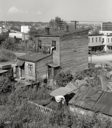 September 1937. "House in Negro quarter of Rosslyn, Virginia." Washington, D.C., and the Key Bridge form the background for this curious scene. Medium-format negative by John Vachon. View full size.
You Are HereThis might be about where present-day N. Fort Myer or N. Lynn Street are now.  Interesting to see roads are dirt. The Key Bridge Marriott was built where Arlington Brewing Co. was. Its building was erected around the turn of the century and brewery closed in 1916.  Ultimately it became Cherry Smash Bottling plant. The Rosslyn area had been location of saloons and brothels until closed in early 1900s. When I was a child in early '50s it was terminus of RF&amp;P railroad and Capital Transit streetcars and also the location of car lots and pawn shops.
QuestionIs that marijuana growing by the side of the house?
I&#039;d saythis is a second story job.
Current viewThe attached photo was taken in the same general location as this LOC photo. The green space in the foreground of the current photo is the George Washington Memorial Parkway National Park. This portion of the parkway was built between the 1940s and 1950s, and the neighborhood in this photo may very well have been torn down to accommodate it.
AnswerAllie: I don't think so. To the extent one can tell at this resolution it looks more like Jatropha multifida. Possible some type of cleome (from the flower stalks), but I don't think any cleome has leaves that are heavily serrated like these.
OkraI think that's okra--all overgrown after a long summer.
Marijuana?It looks more like castor bean plants to me. They're quite easy to grow pretty much anywhere. The beans are highly toxic though, and are actually used to make the poison ricin.
Castor beans most likelyLooking carefully at that whole stand you can see at least 5 clumps of what appear to be what Nicodeme says--castor bean plants. My mother used to grow them and they make beautiful red accents in a garden, often quite tall, too. I think this is a flower border, despite the ramshackle house. Although not particularly well-tended, there does seem to be a rough logic with lower, flowering plants along the front and the taller at the back. Castor plants are often very red. Ought to have been quite a colorful border.
More on wikipedia: http://en.wikipedia.org/wiki/Castor_bean_plant
Mom locked us out!I wonder if that was the story behind the three boys on the roof, trying to get in through the window; that Mom was out working and didn't get home as early as she expected (or the boys' job doing yard work was finished before expected).
Is that a church at one o&#039;clock?(I think those buttresses would have caught my eye if that building still stood.)
And for more on the Georgetown Tower of Flour
see https://www.shorpy.com/node/5510
Not Mary JaneIf it was they could afford to move to a nicer place.
Ancient AutoAnyone know what make and model car that is? It clearly has not moved in years.
RepurposingIn the lower right, you can see that the rear doors from the abandoned truck have been used to patch the roof on the structure next to it
Where is this?It would appear that the location of this photo is now about where the Key Bridge Marriott is located.
Re: Mom locked us out!Not really, that downstairs backdoor is open and ajar. Looks more like these boys are just fooling around, maybe watching the photographer at work.
Old W&amp;OD TerminalIf you look off to the left, in the foreground, below the Key bridge you can see the W&amp;OD terminal which was torn down in 1939 to make way for the GW parkway.
Address of this houseBased on an aerial photo of Rosslyn at this time and the 1943 Arlington street/lot map (see both attached), the address of this house was 1934 North Fort Myer Drive, on the southwest corner at the intersection of North 20th Street. The present-day intersection is N. Ft. Myer Dr. and eastbound Lee Hwy. Credit to Jeff Clark, John Dowling, and Steve Palmeter on the "Northern Virginia History" Facebook group for help in zeroing in on the exact location.
(The Gallery, D.C., John Vachon)