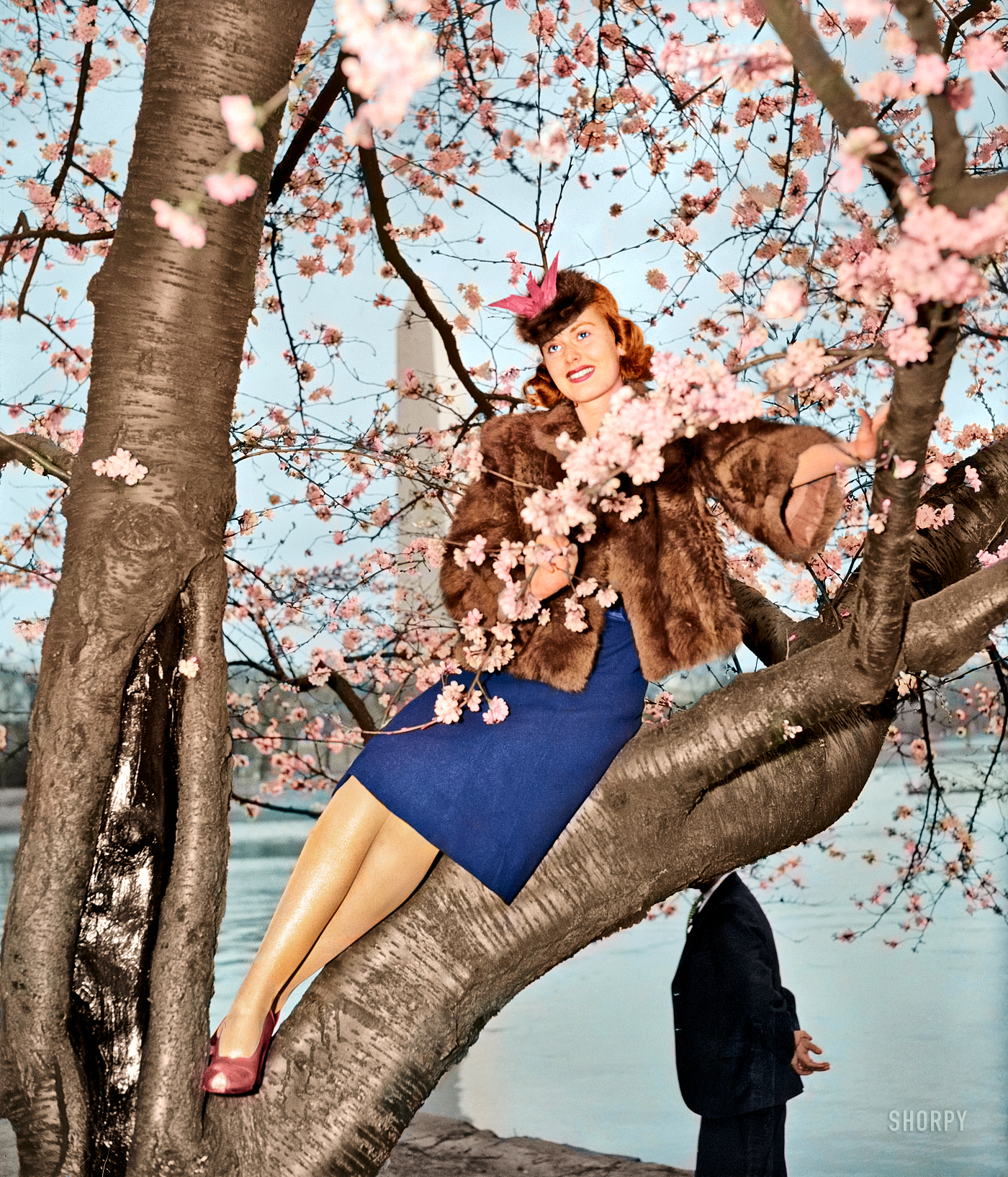 From a Shorpy original; colorized by Michael Catanachapodaca, 2012. View full size.