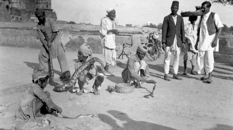 Snake charmers in Agra, India, close to the Taj Mahal, 1939.  The small Crite is the most dangerous. Its poison can kill in one minute. View full size.
