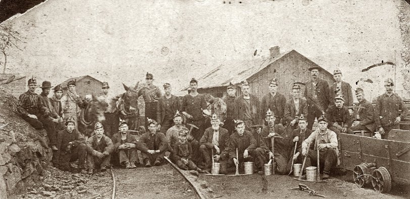 My great-grandfather's mining crew circa 1915 in Mineral County, West Virginia. His name was Thompson Metcalf, and he is in the front row, crouched just to the right of the coal car tracks. The young boy in front of him was my great-uncle "Metty." Thompson died in the flu epidemic of 1918. My grandfather gave me the carbide lamp that Thompson wore. It appears they all had their lamps lit for the photo. They even included the most valuable members of the crew (at least to the mine owners). Some mine owners were of the opinion that "If you lose a man, there is always another one ready to take his place, but if you lose a pony or mule, you must BUY another one". This crew worked the mines in the Beryl, West Virginia area.
