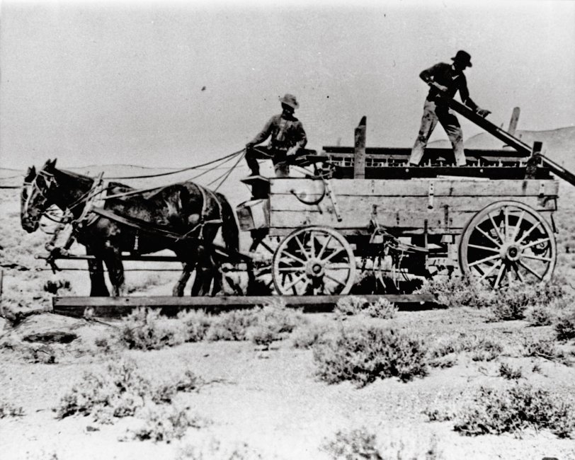 A crew working on the Transcontinental Telephone Line. Date and location unknown. 
