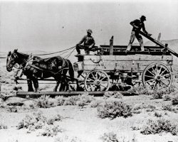 A crew working on the Transcontinental Telephone Line. Date and location unknown. 
great photoI love this photo do you have anymore line workers using horse and wagon??
(ShorpyBlog, Member Gallery)