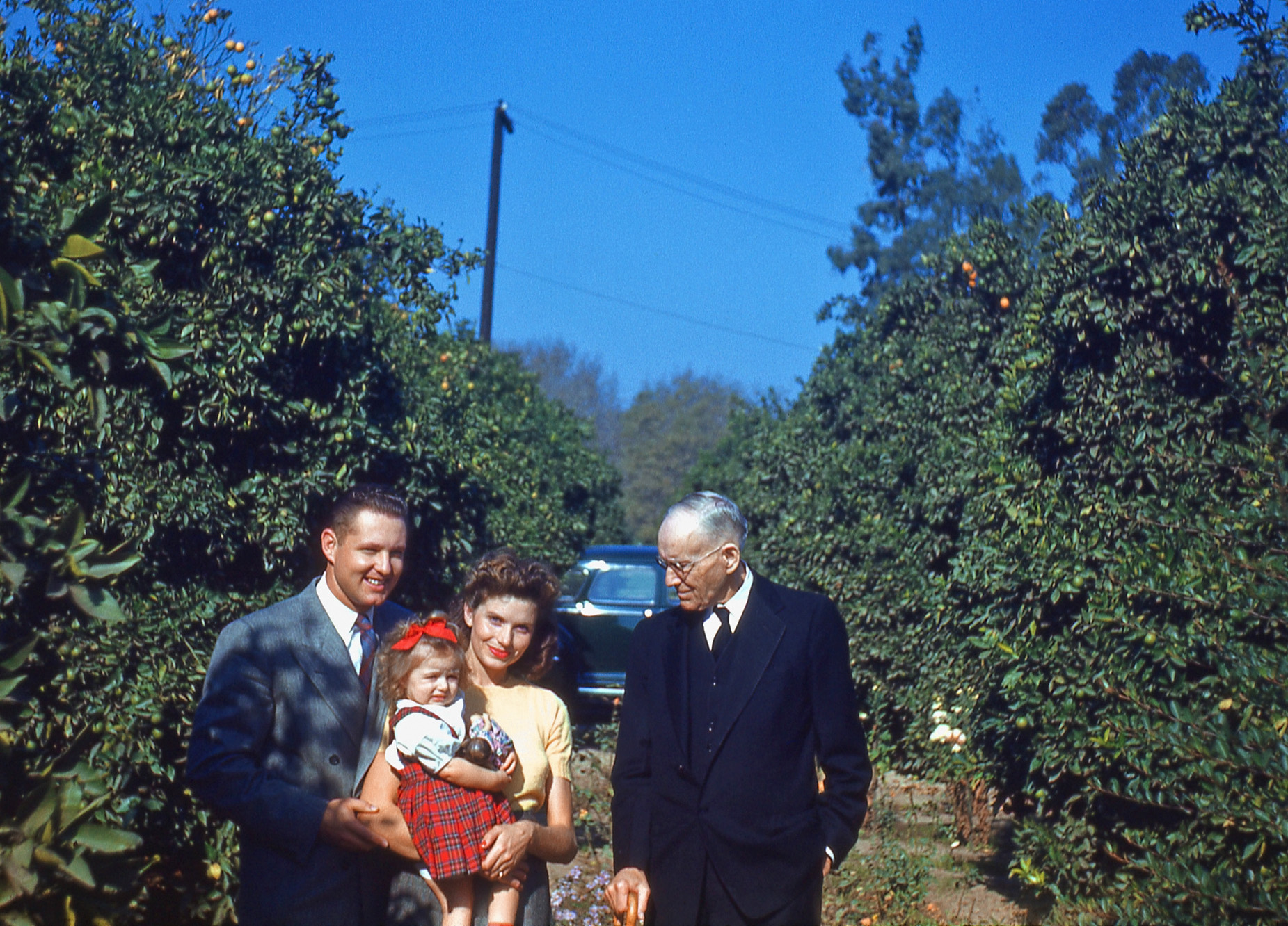 This was taken in an orange grove so it's likely in Southern California where I found this Kodachrome slide in a thrift store. Now instead of actual citrus groves, we have shopping centers named after citrus groves. The slide is captioned "Uncle Albert Thanksgiving 1948." View full size.
