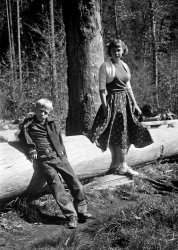 Yosemite: 1950s